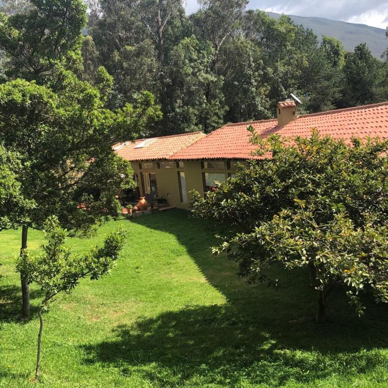 Casas del Viento - Two-Bedroom House - 3