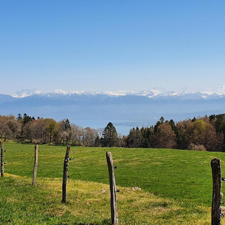 Résidence Entre Monts et Lac - Apartment mit Blick auf die Berge - 30