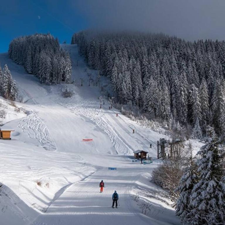 Le Relai S34 - Grand et lumineux studio avec coin montagne 4-6 pers avec WIFI, 50m des pistes, grand balcon exposé SUD, DRAPS NON COMPRIS - Studio - Vue sur Montagne - 18