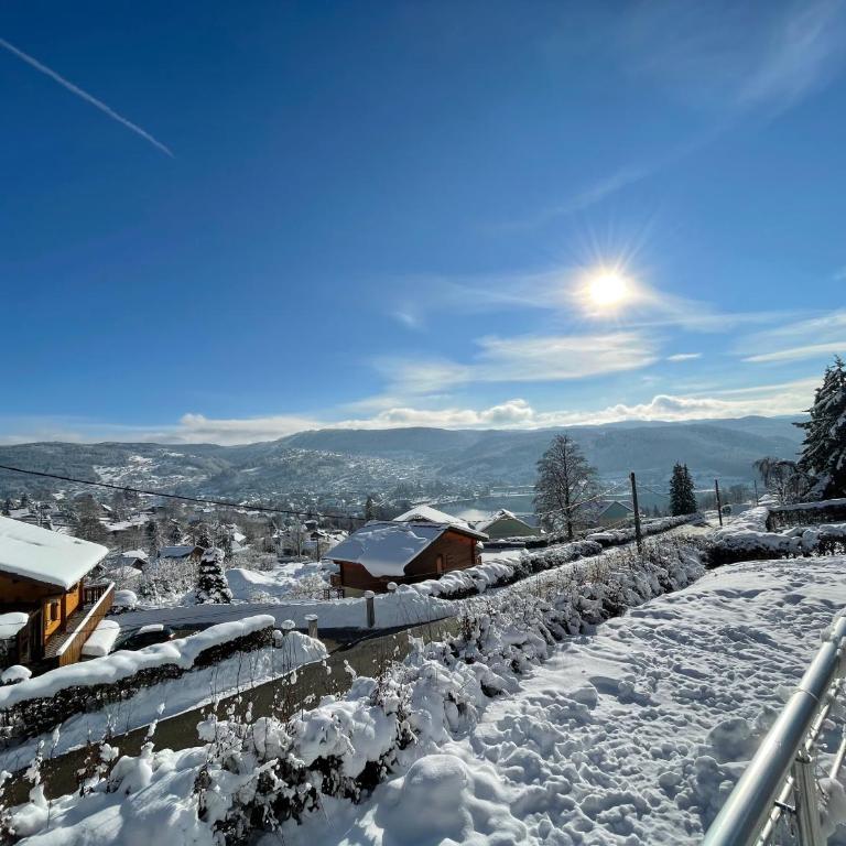 le bleu du lac Sauna et Spa - Chalet - 6