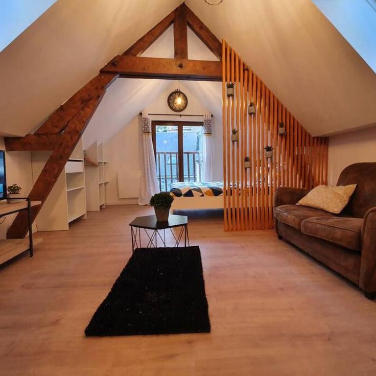 Charmant Studio Hyper Centre - One-Bedroom Apartment - 5
