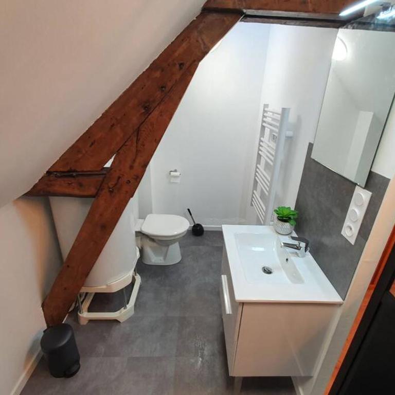 Charmant Studio Hyper Centre - One-Bedroom Apartment - 10