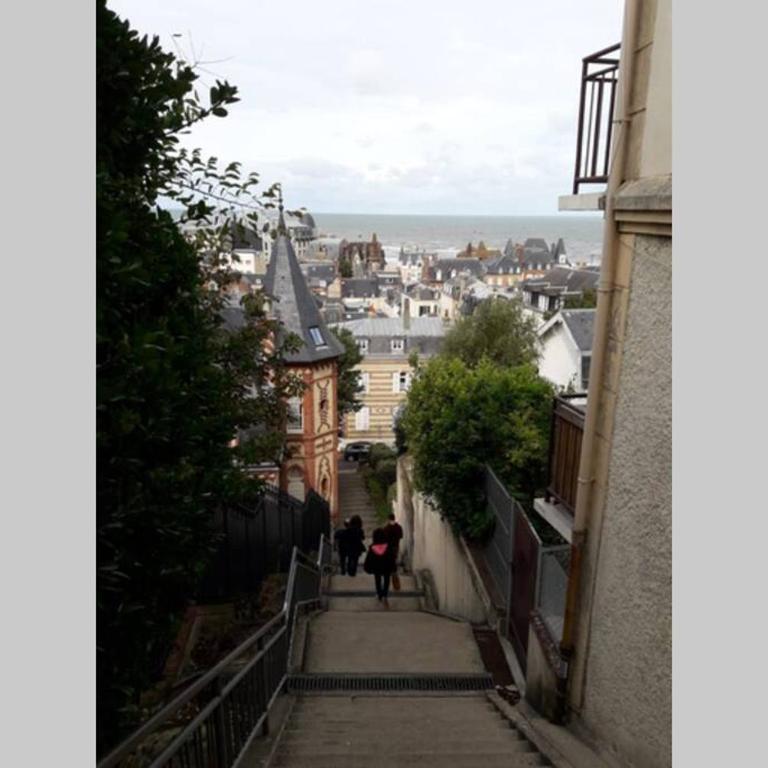 Studio cosy et terrasse-jardin superbe vue mer - Appartement 1 Chambre - 20