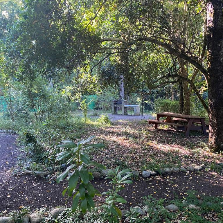 Departamento con Jardin Privado , Condominio Pucon Andino - Apartamento de 1 dormitorio - 17