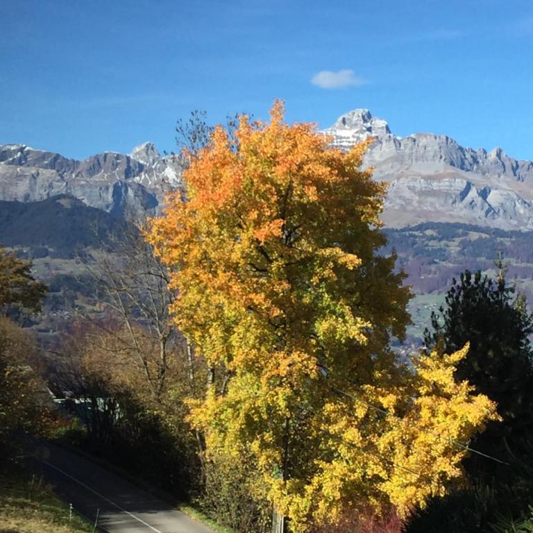 Le Caribou - Appartement (12 Adultes) - 3