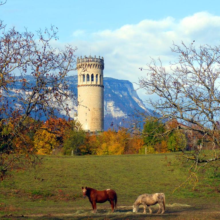 ADAL-BERHT - Maison 3 Chambres - 29