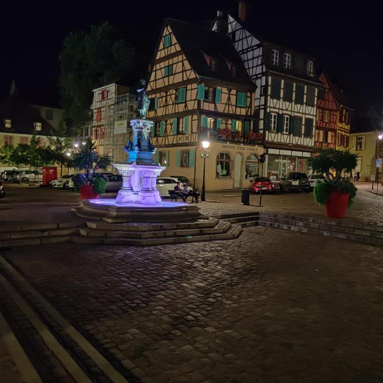 Au Kugelhopf Doré - Centre Historique - Appartamento con 2 Camere da Letto - 29