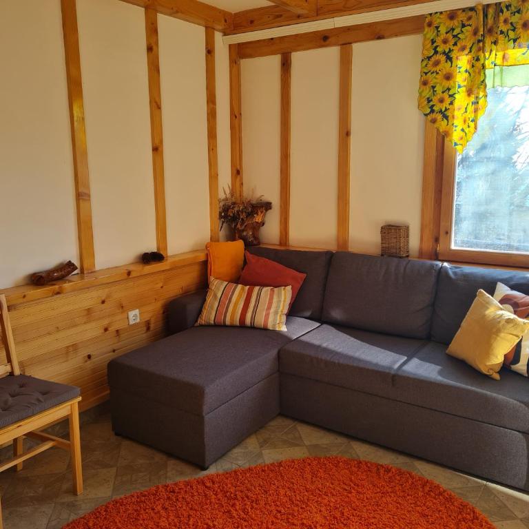 Mountain House Mijatović - Three-Bedroom House - 4