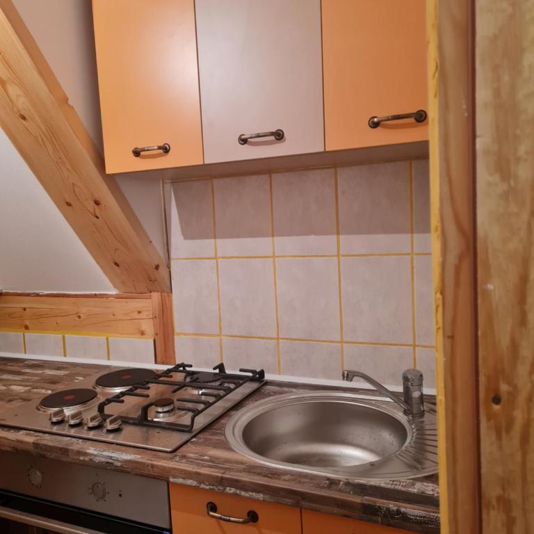 Mountain House Mijatović - Three-Bedroom House - 13