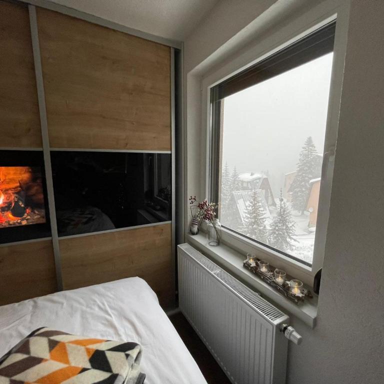 Apartments Walter Jahorina - Two-Bedroom Apartment - 9