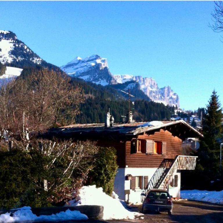 Charmant appartement dans chalet - Appartamento con 2 Camere da Letto - 1