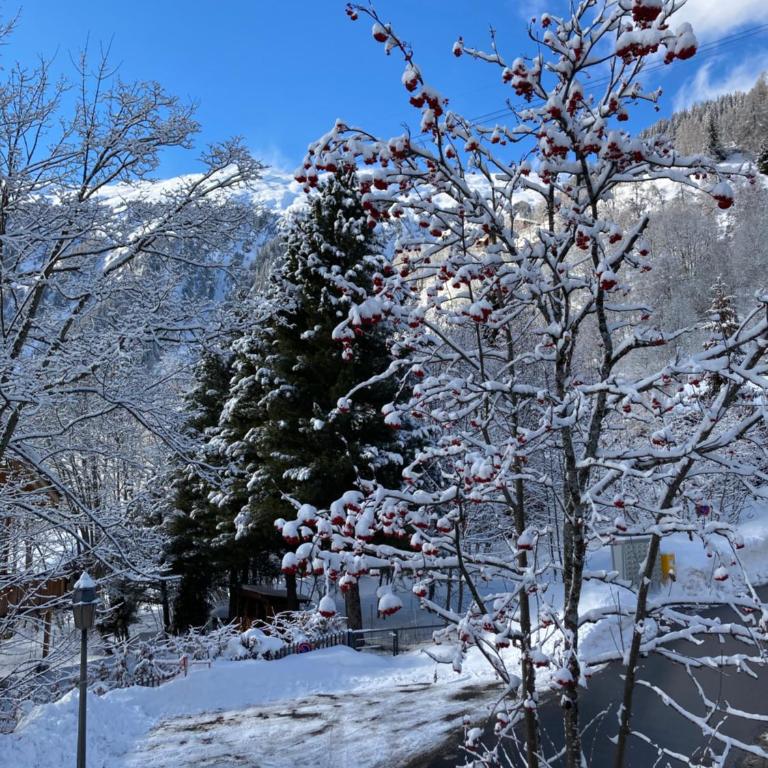 Alter Lärch - Chalet mit 2 Schlafzimmern - 9