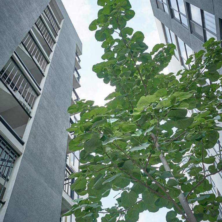 Armónico departamento Ciudad de México - Three-Bedroom Apartment - 21