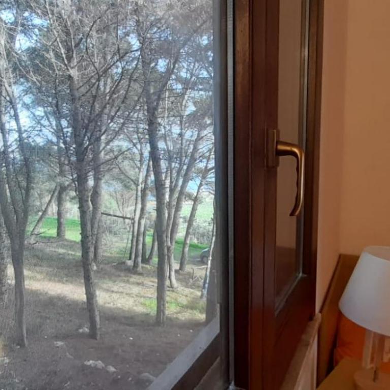 La Pineta - Vacation Home - 14