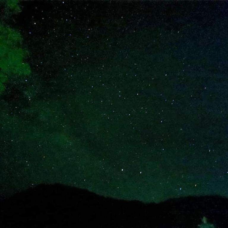 Cabañas Valle del Cocora La Truchera - Chalet - 6
