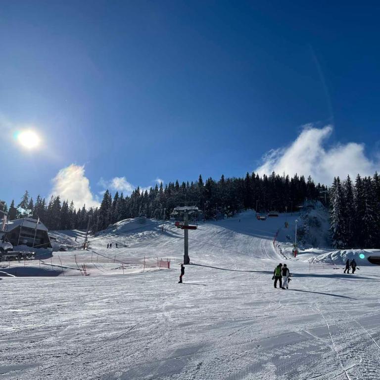 Apartments Walter Jahorina - Two-Bedroom Apartment - 12