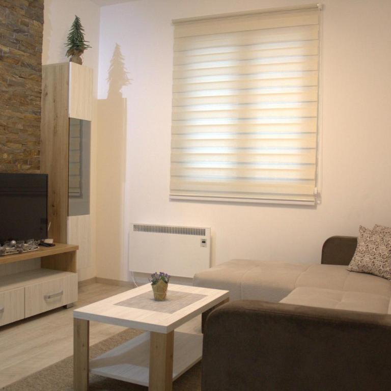 Kraljev Konak - One-Bedroom Apartment - 7