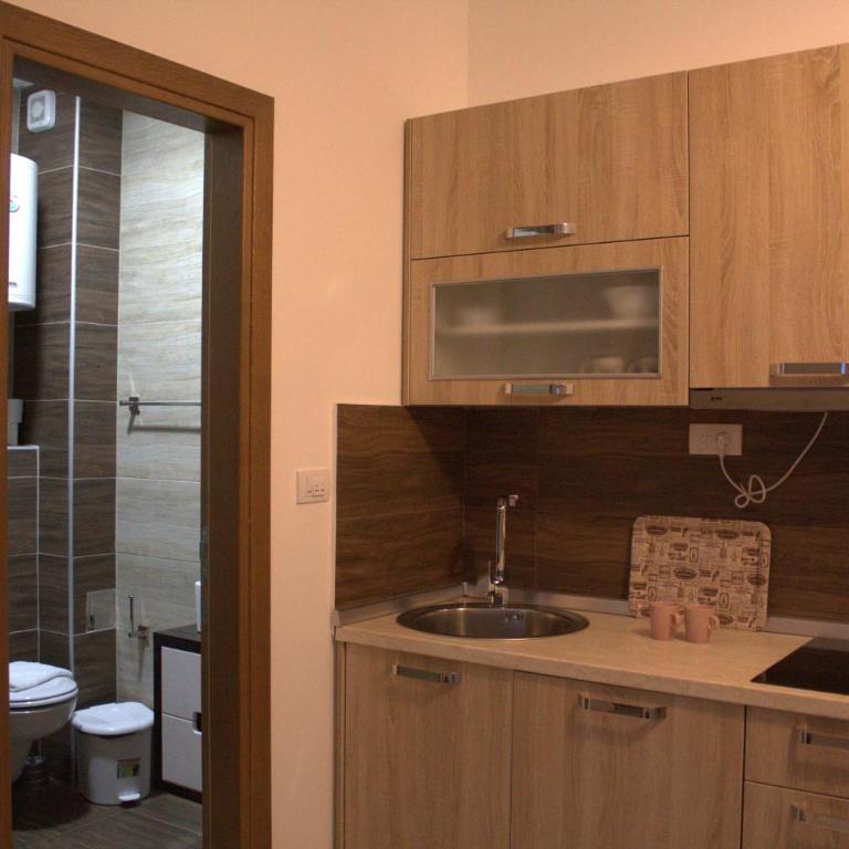 Kraljev Konak - One-Bedroom Apartment - 6