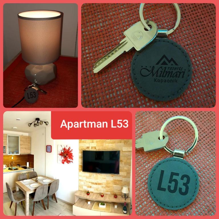 Apartman L53 Milmari Kopaonik - Apartman sa Pogledom na Planinu - 10