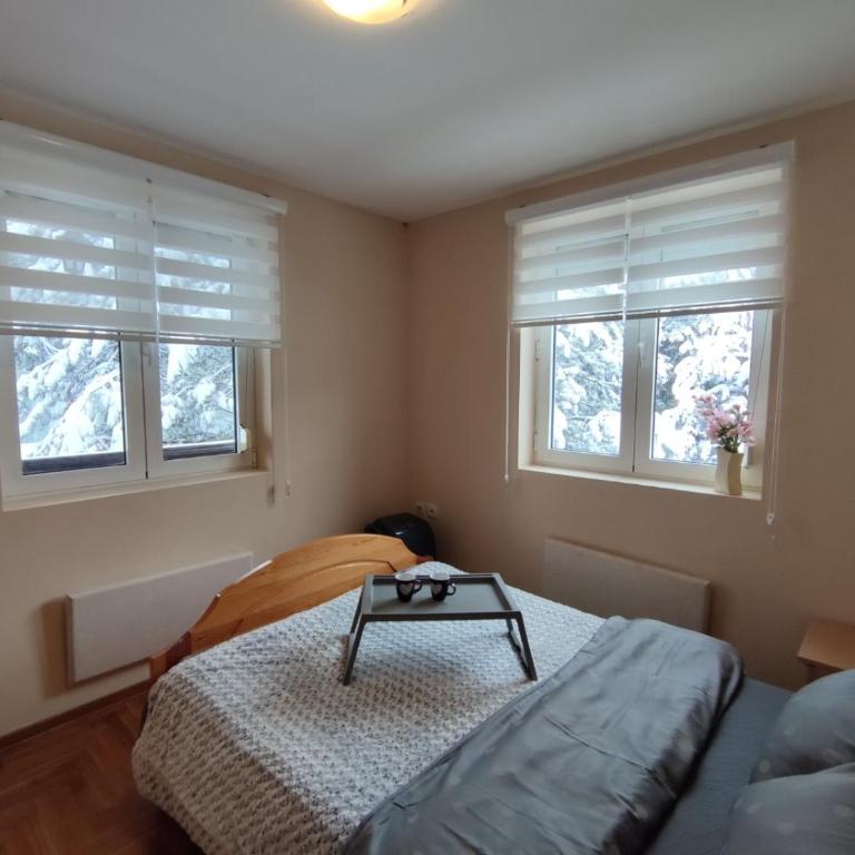 Apartman Paja - Apartman sa 1 Spavaćom Sobom - 8