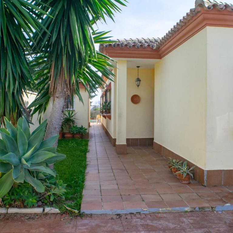 Villa Elissa with 3 bedrooms andpool and views close to Conil - Villa de 3 dormitorios - 22