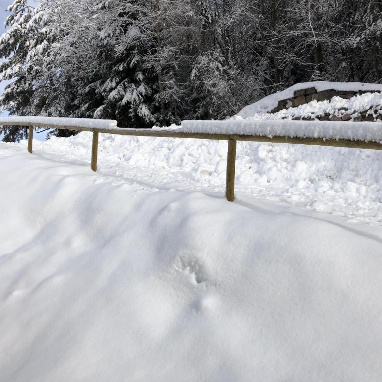 Eco Chalet Nonno Silvano - Superior Chalet - 92