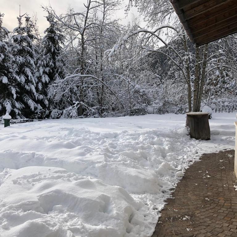 Eco Chalet Nonno Silvano - Superior Chalet - 22