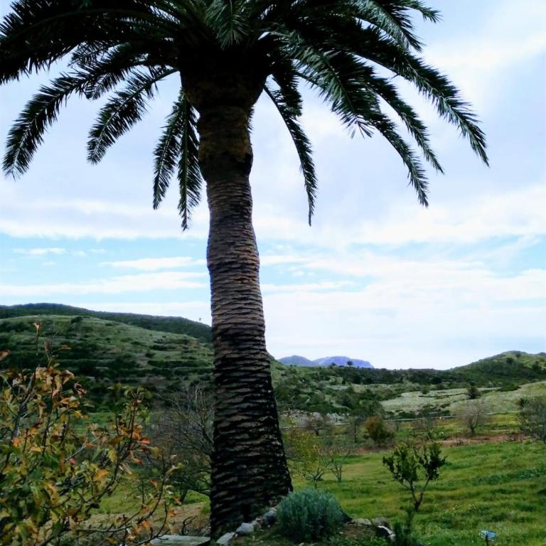 Finca Ulises Las Hayas - Casa de 3 dormitorios - 25