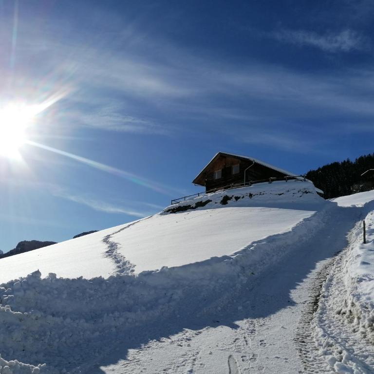 Ferienhütte Georg - Haus mit 6 Schlafzimmern - 19