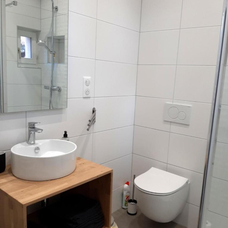 LE 1 " GÎTES TOUT CONFORT à COLMAR CENTRE" - Appartamento con 1 Camera da Letto - 8