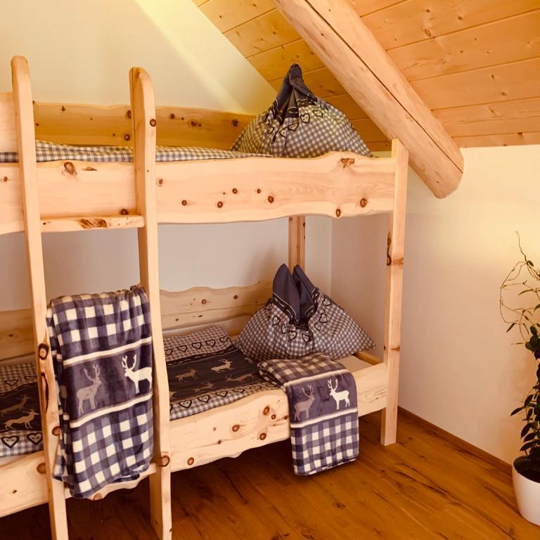 Almzauber Chalets - Haus Enzian inkl Infrarotliegen - Chalet 3 - 30