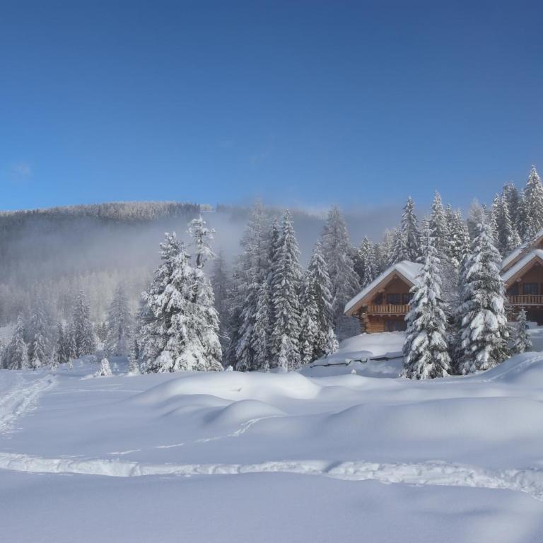 Almzauber Chalets - Haus Enzian inkl Infrarotliegen - Chalet 3 - 23