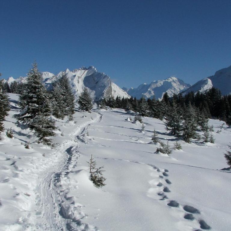 Les Lucioles - Studio - Vue sur Montagne - 23