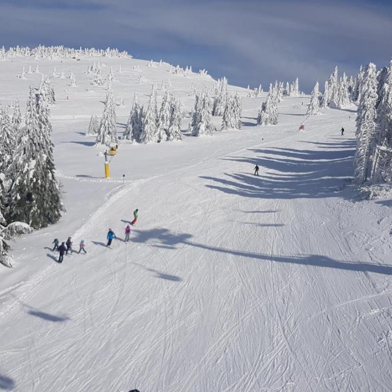 Apartment Kockica Konaci - Apartman sa 1 Spavaćom Sobom - 34