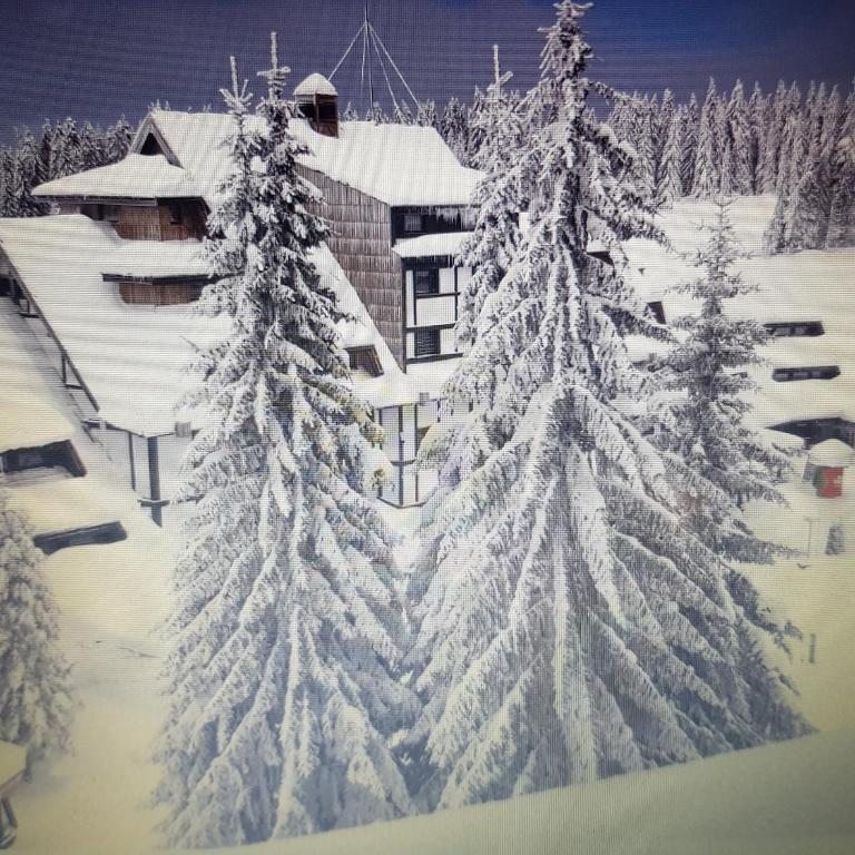 Apartment Kockica Konaci - Apartman sa 1 Spavaćom Sobom - 21