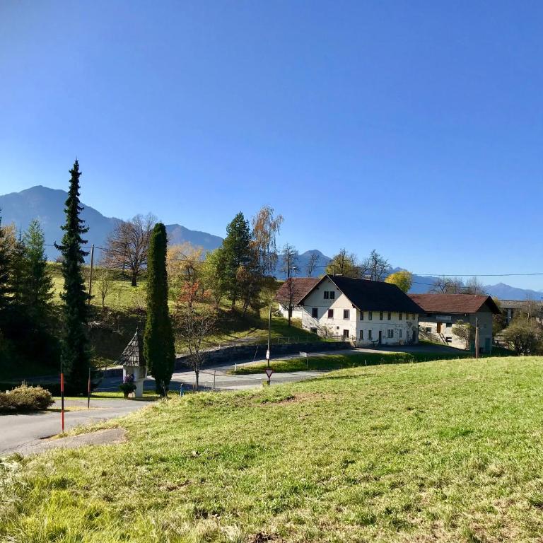 Haus Tilia Karinthië Appartementen - Appartamento con 2 Camere da Letto - 1