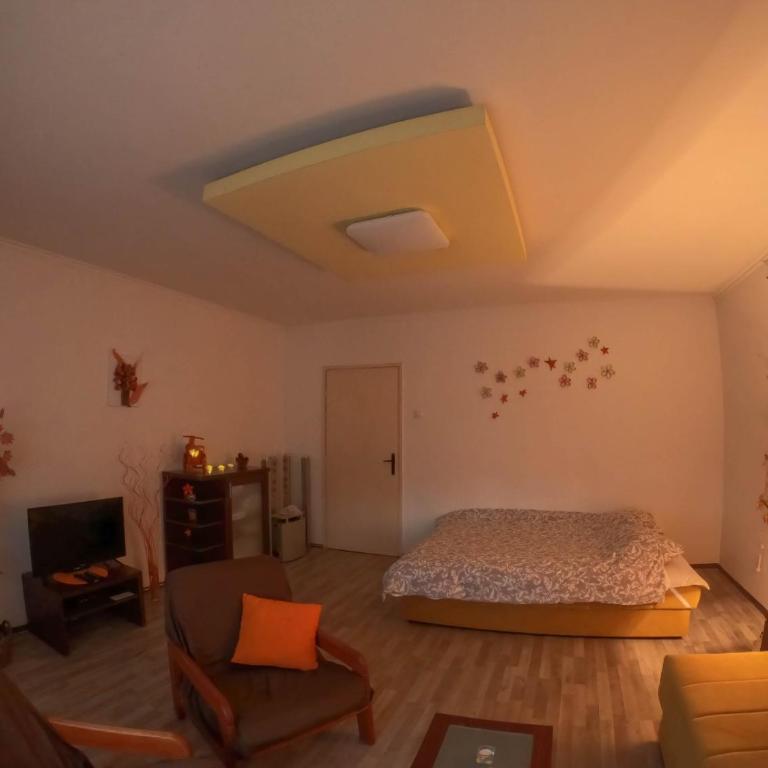 Nica Apartman Novi Sad - Apartman sa Balkonom - 5