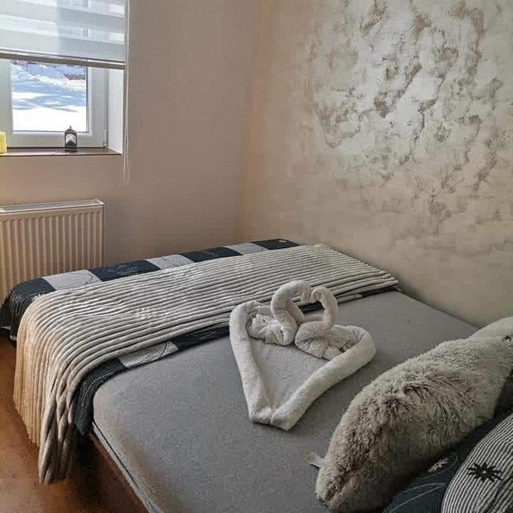 Apartmani MILOSAVLJEVIĆ Divčibare - Apartman sa Pogledom na Planinu - 4