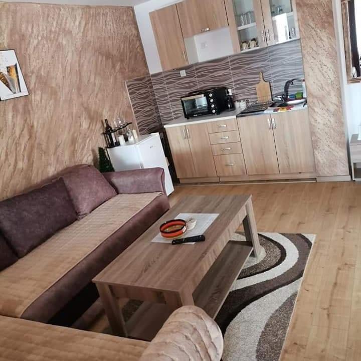 Apartmani MILOSAVLJEVIĆ Divčibare - Apartman sa Pogledom na Planinu - 9