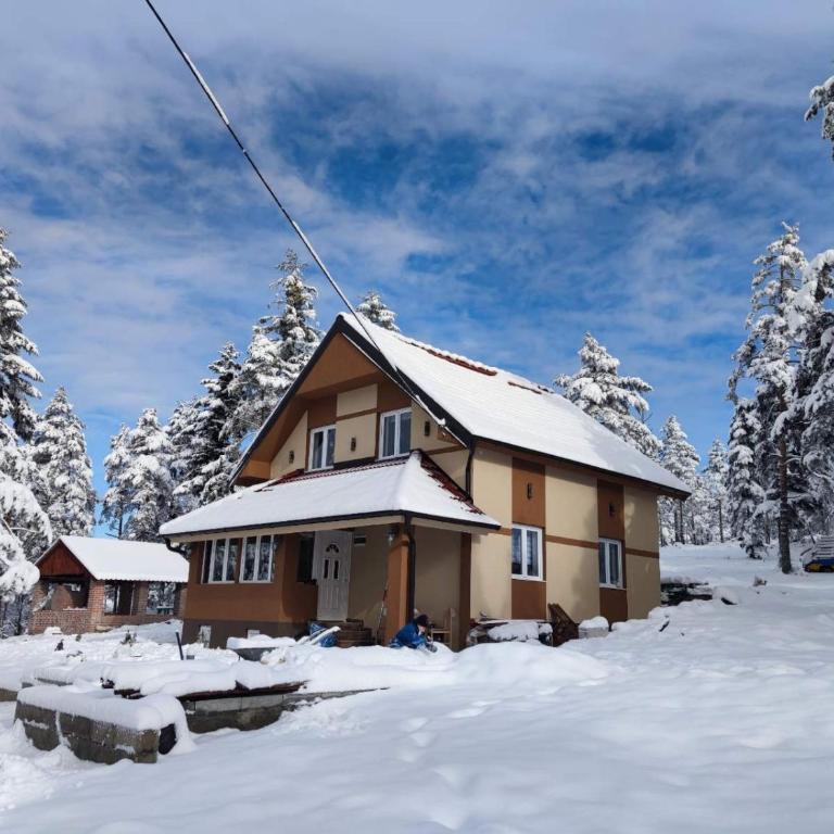 Apartmani MILOSAVLJEVIĆ Divčibare - Apartman sa Pogledom na Planinu - 1