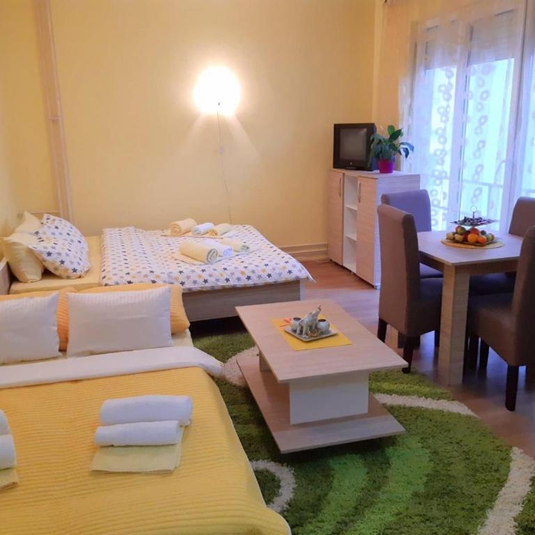 Apartman Sladja - Studio - 4