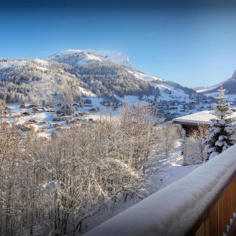 Chalet Cosyneige - OVO Network - Chalet - 2