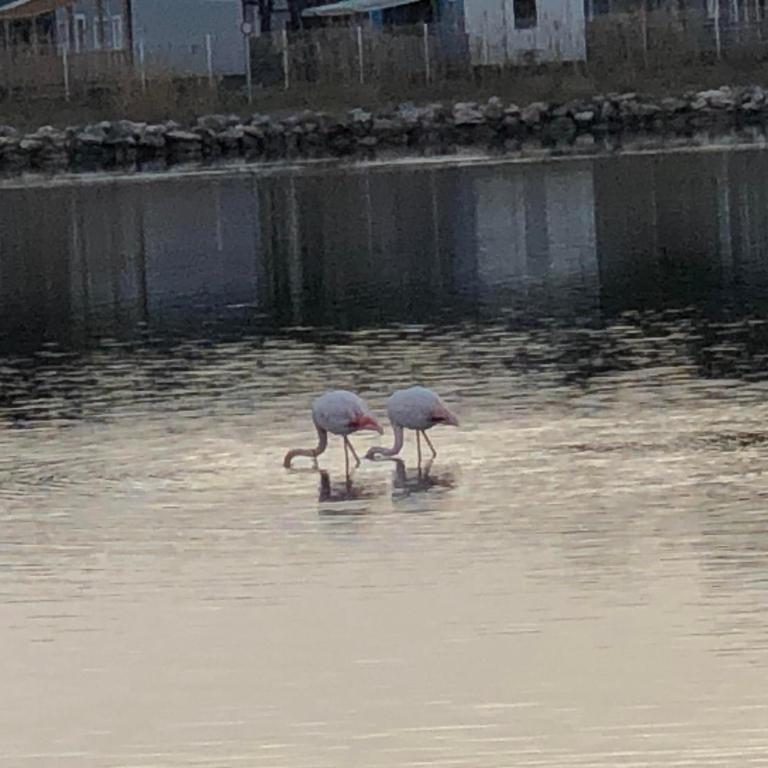Barcaresa-LA PERLE VUE MER PIEDS DANS L'EAU CLIM WIFI - Maison 1 Chambre - 41