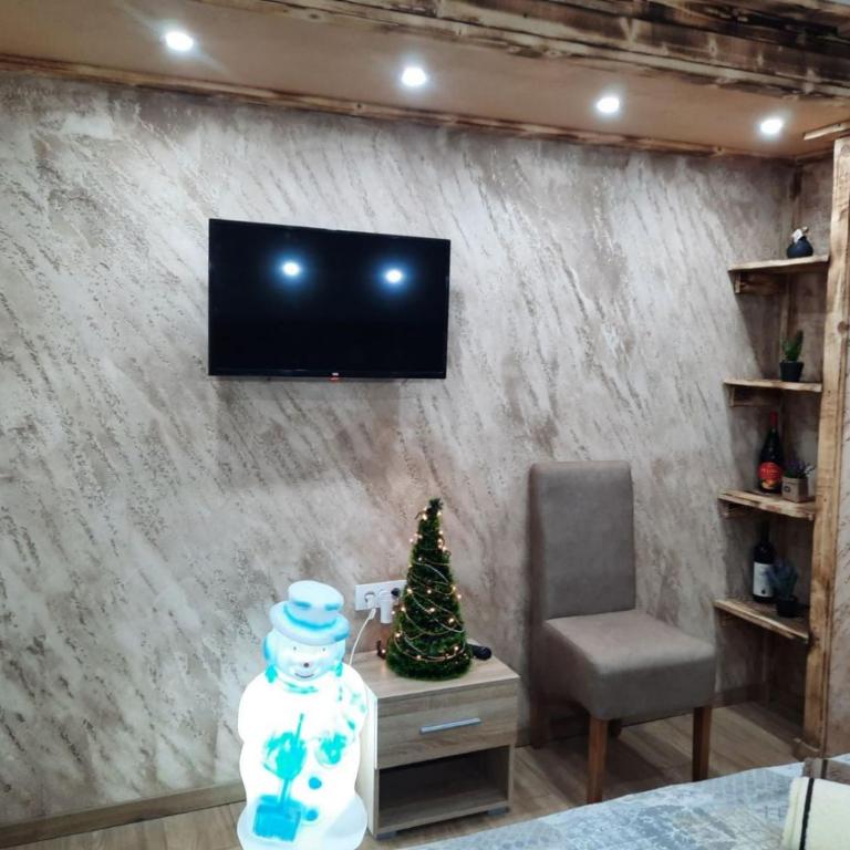 Apartmani MILOSAVLJEVIĆ Divčibare - Studio sa Bračnim Krevetom (King-size) - 7