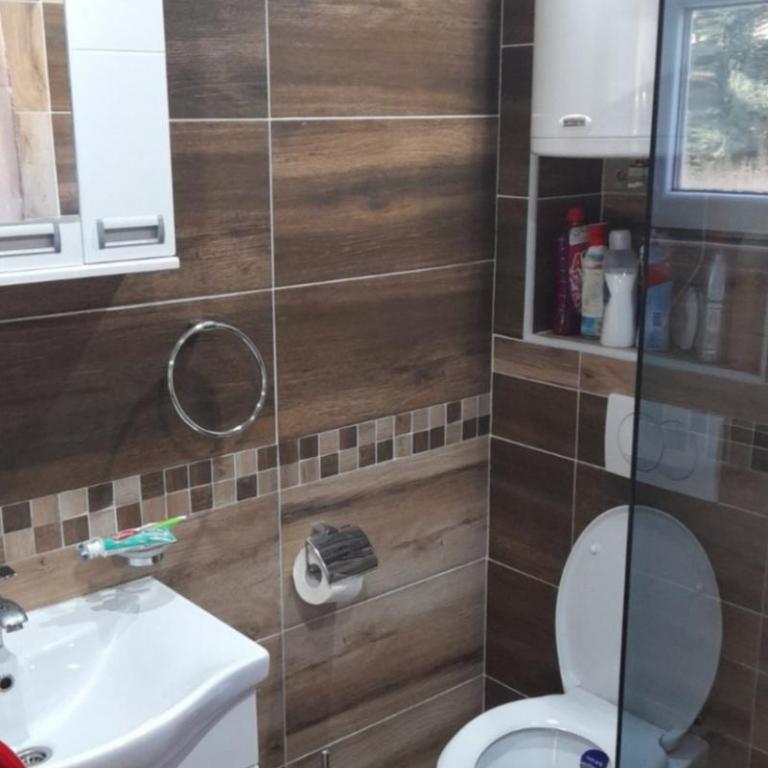 Apartmani MILOSAVLJEVIĆ Divčibare - Studio sa Bračnim Krevetom (King-size) - 12