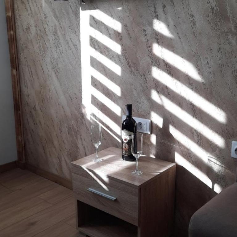 Apartmani MILOSAVLJEVIĆ Divčibare - Studio sa Bračnim Krevetom (King-size) - 11