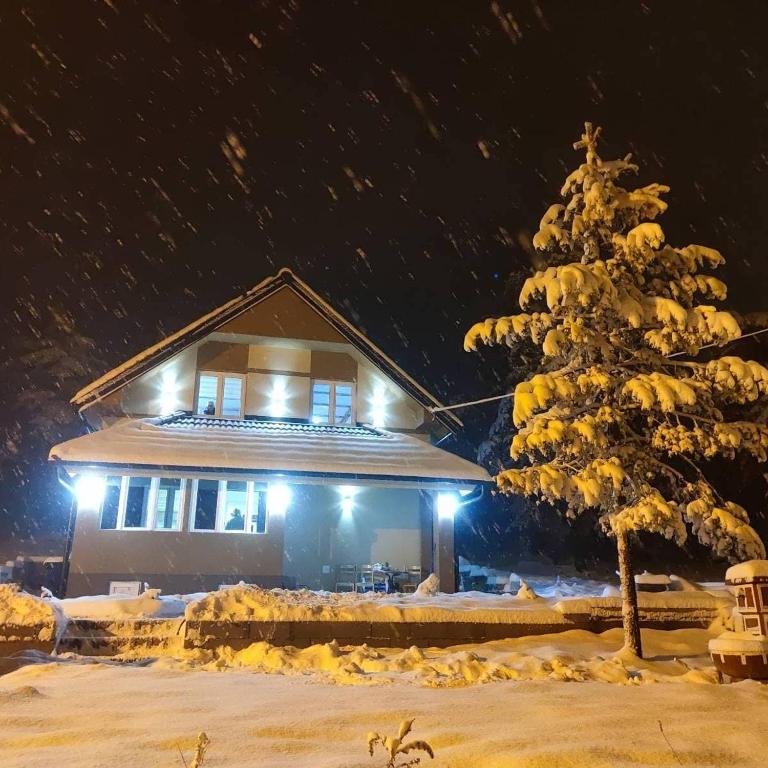Apartmani MILOSAVLJEVIĆ Divčibare - Apartman sa Pogledom na Planinu - 6