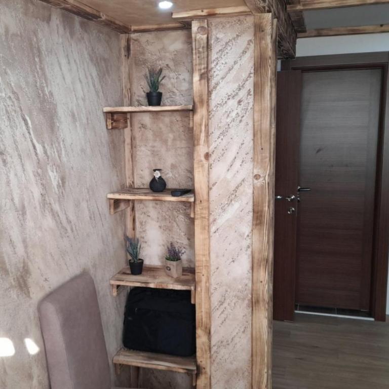 Apartmani MILOSAVLJEVIĆ Divčibare - Studio sa Bračnim Krevetom (King-size) - 15