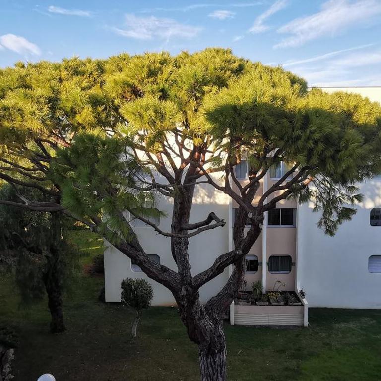 Magnifique Studio dans résidence avec Piscine - Studio - 26