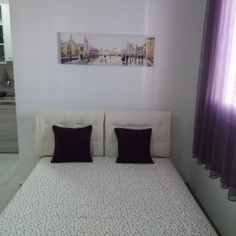 Apartments Aleksić - Studio sa Terasom - 6